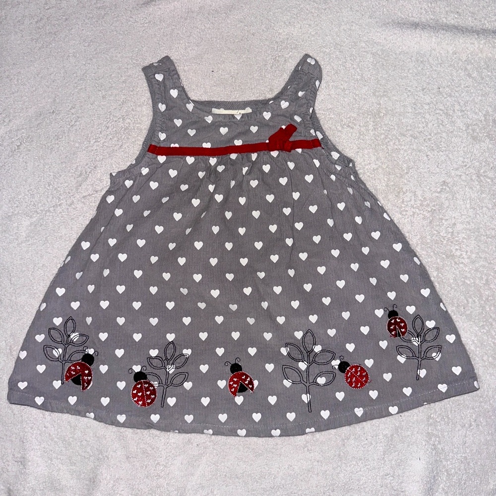 Grey Ladybug Dress (Size: 2T)